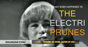 The Electric Prunes: A Retrospective on Their Musical Legacy