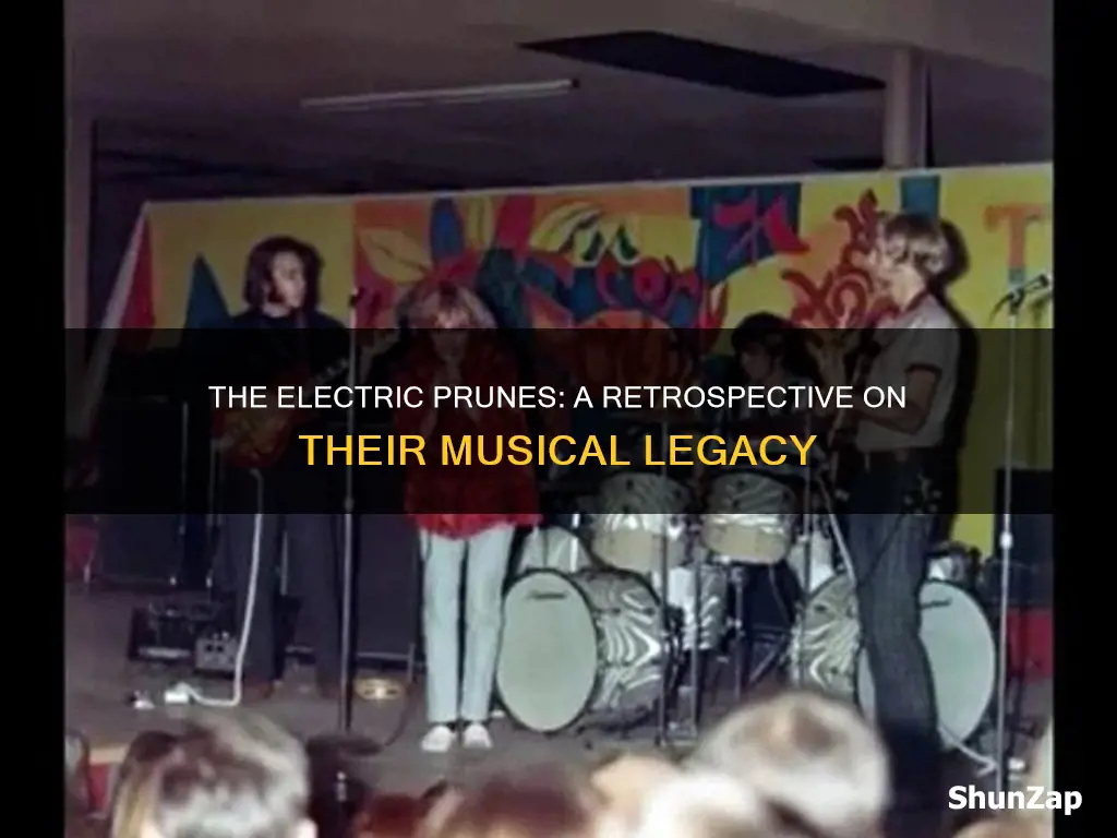 what ever happened to the electric prunes