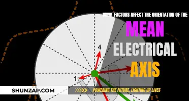 Electrical Axis Orientation: Influencing Factors and Variables