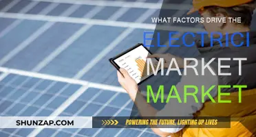 Electricity Market: Factors Influencing Prices and Trends