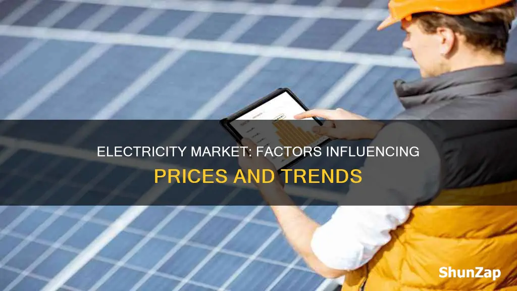 what factors drive the electricity market market