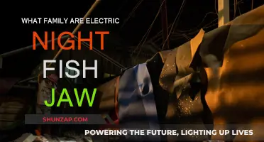 Electric Night Fish Jaw: What Family Are They From?