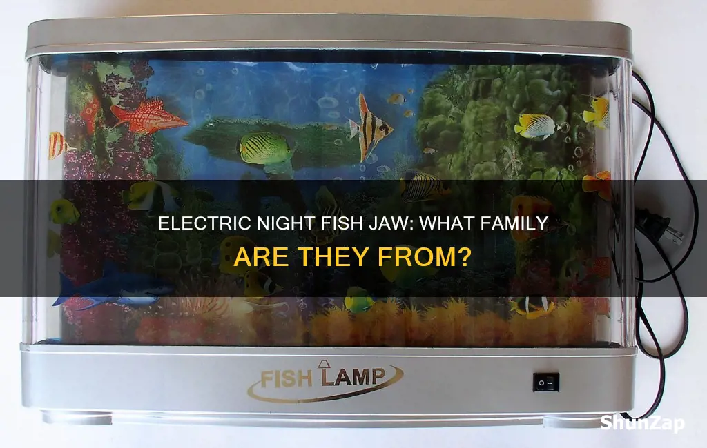 what family are electric night fish jaw