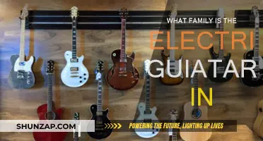 The Electric Guitar Family: A Musical Evolution