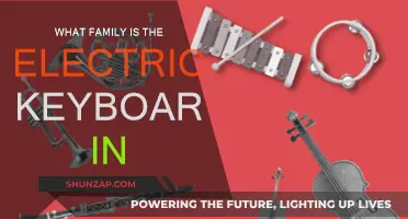 The Electric Keyboard: Exploring Its Musical Family