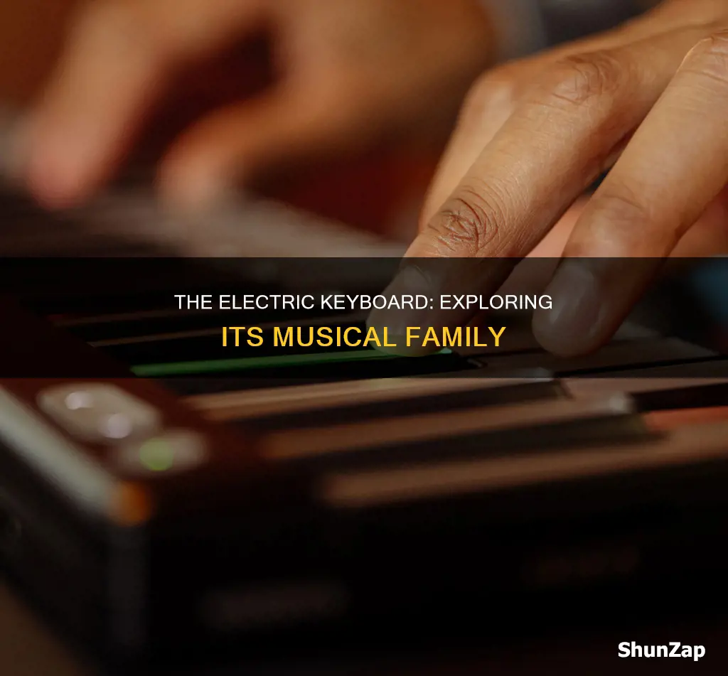 what family is the electric keyboard in