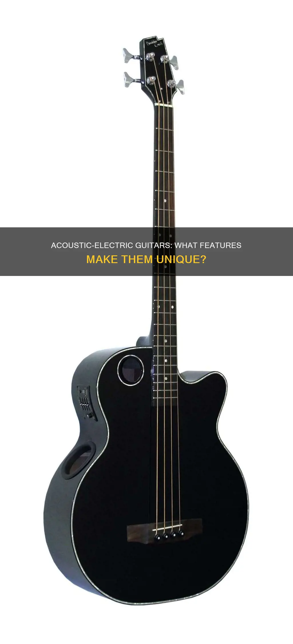 what features do acoustic electric guitars have