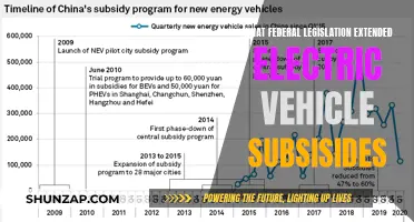 The EV Revolution: Federal Subsidy Expansion Act