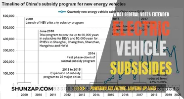 Federal Votes: Extending EV Subsidies and the Future of Green Transportation