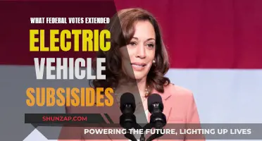 Electric Vehicle Subsidies: Federal Votes Extend Benefits
