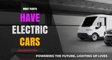 Exploring Fleets Embracing Electric Cars: Sustainable Transportation Revolution