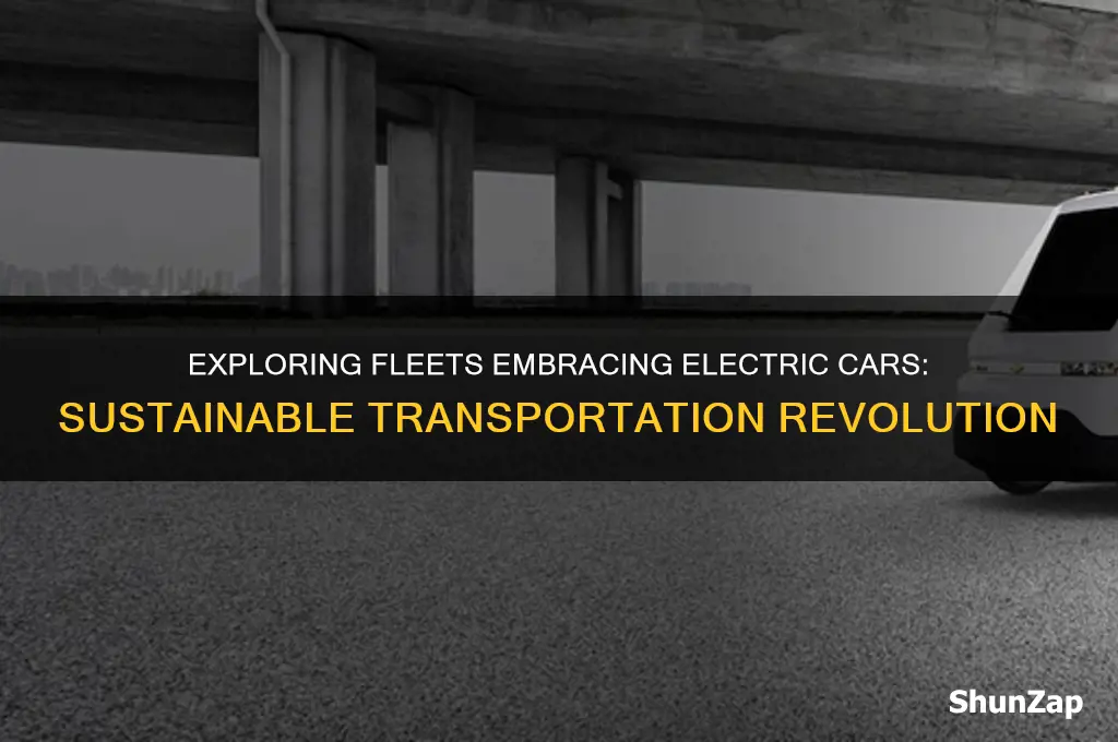 what fleets have electric cars