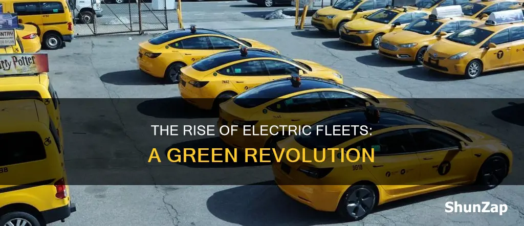 what fleets have electric vehicles