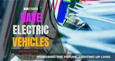 Electric Vehicle Revolution: Fleets Embracing the Change