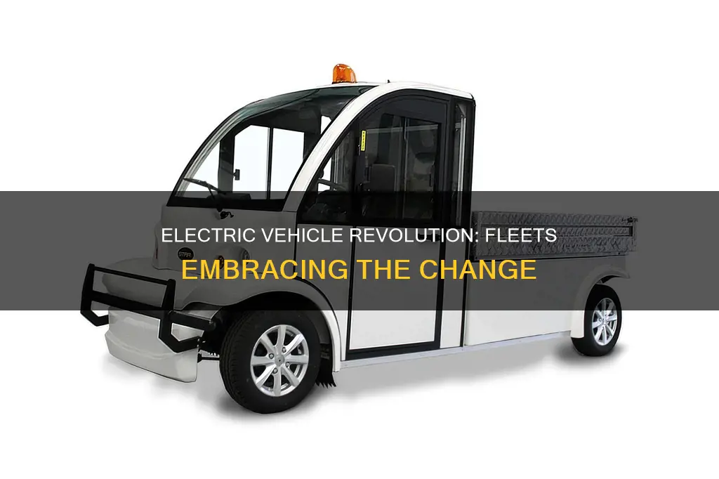 what fleets have electric vehicles
