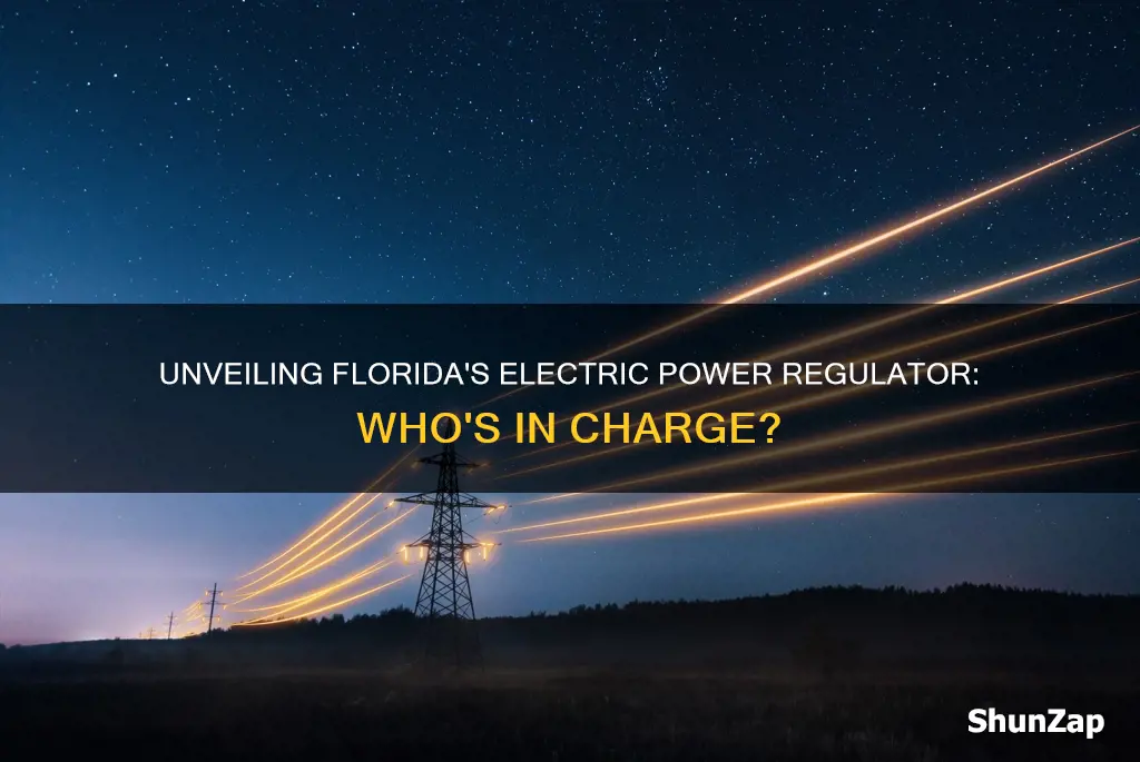 what florida agency regulates the electric companies