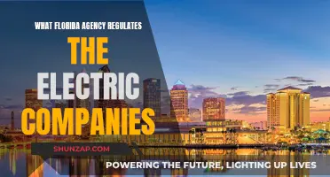 Florida's Electric Company Regulator: Who's in Charge?