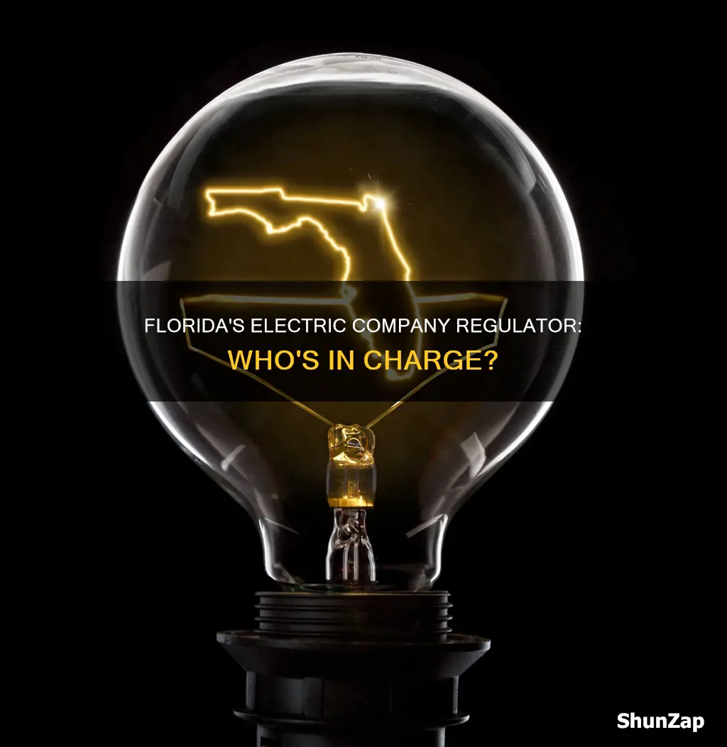 what florida agency regulates the electric companies