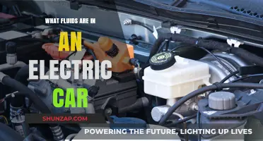 Electric Car Fluids: Beyond Batteries, What Liquids Keep EVs Running?