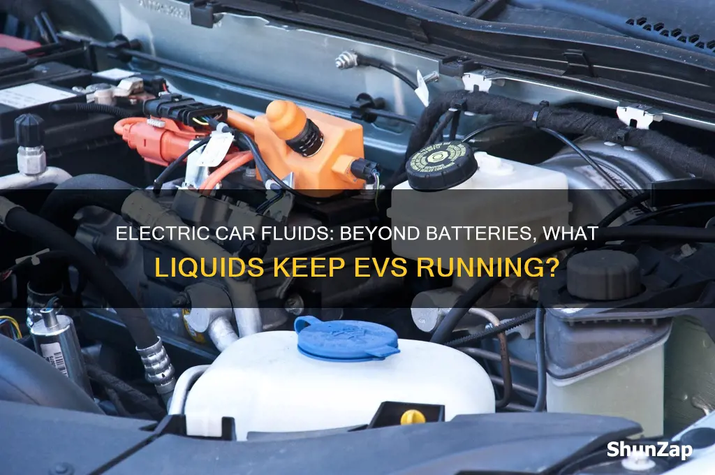 what fluids are in an electric car