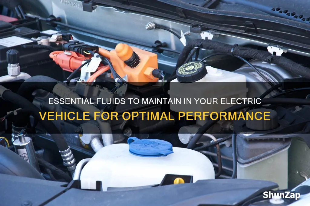 what fluids to replace in electric car