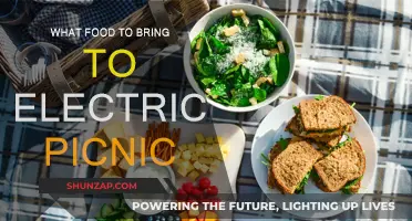 Picnic Foods for Electric Picnic Fun