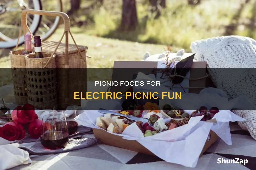 what food to bring to electric picnic