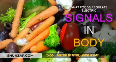 Foods That Balance Your Body's Electrical Signals