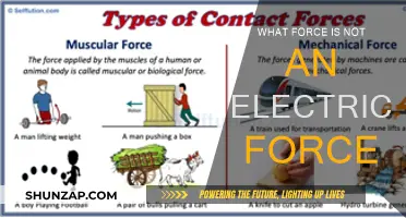 How Non-Electrical Forces Shape Our World