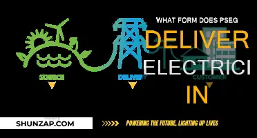 How PSEG Delivers Electricity to Your Home