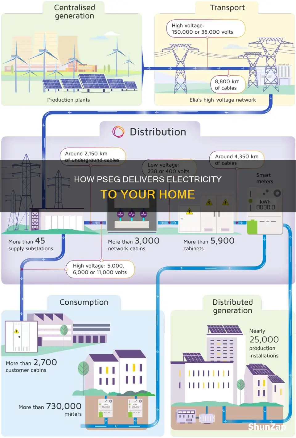 what form does pseg deliver electricity in