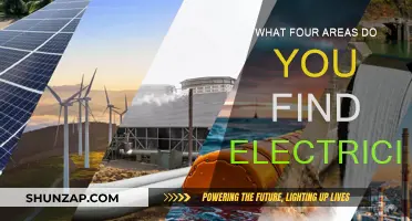 Electricity's Four Sources: Powering Our World