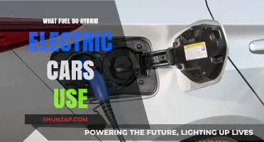 Hybrid Electric Cars: Understanding the Fuel Types They Utilize