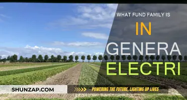 General Electric: Which Fund Family is Best?