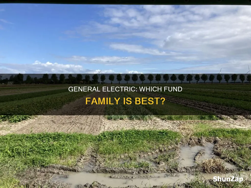 what fund family is in general electric