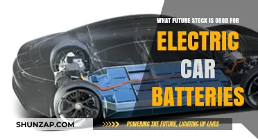 Top Future Stocks Powering the Electric Car Battery Revolution