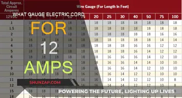 Choosing the Right Electric Cord Gauge for 12 Amps
