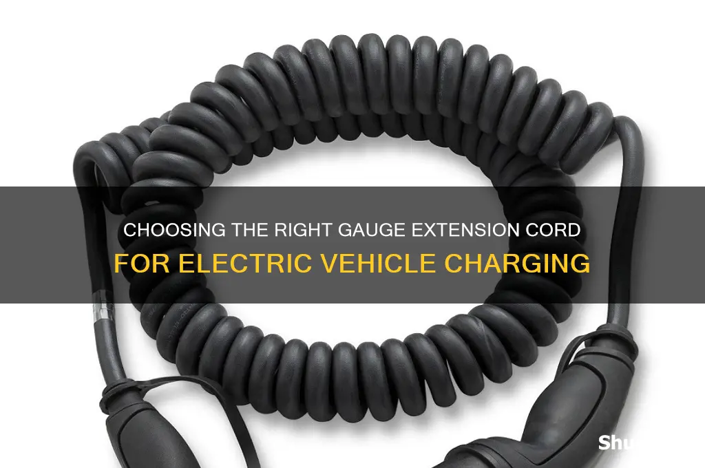 what gauge extension cord for electric car charging