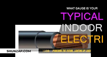 Electric Gauge Basics: Understanding Your Typical Indoor Electric