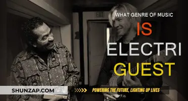Electric Guest's Genre: A Musical Fusion