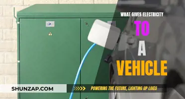 Electric Vehicles: Powering the Future of Transportation