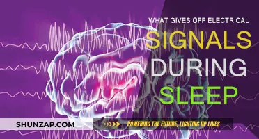 Electrical Brain Activity During Sleep: What's Happening?