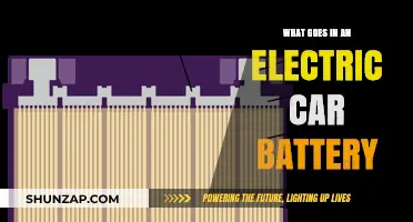 Inside Electric Car Batteries: Components, Functionality, and Sustainability Explained
