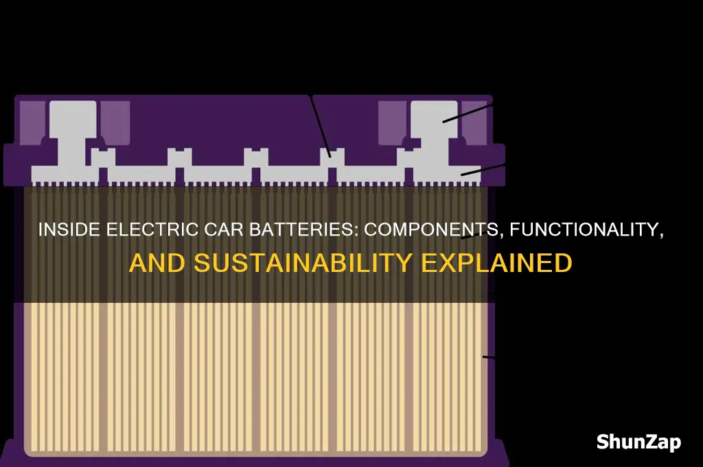 what goes in an electric car battery