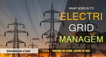 Electric Grid Management: Complexities and Challenges