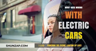 Common Pitfalls of Electric Cars: What Owners Should Know