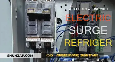 Electrical Surges: Fridge Malfunctions and Solutions
