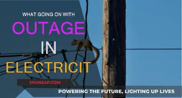 Blackouts: Exploring the Causes of Power Outages