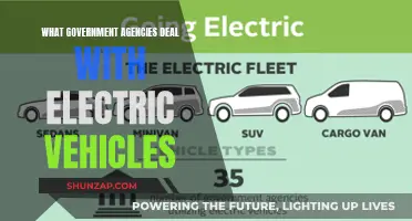 Government Agencies: Electric Vehicle Regulators and Enablers