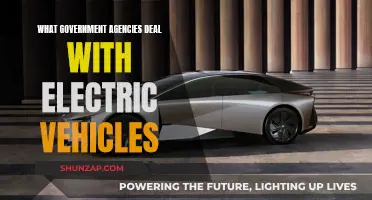 Agencies Leading the Electric Vehicle Revolution